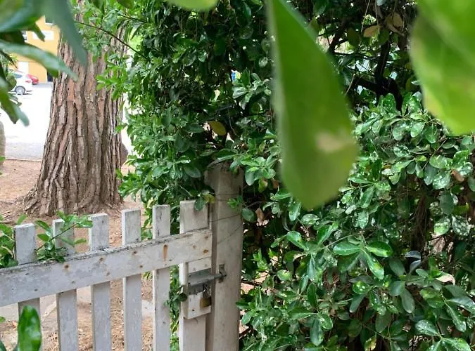 Cap D Rez-de-jardin Marine Centre Port Apartment Agde